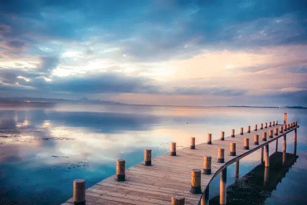 夜舞含义是什么呢