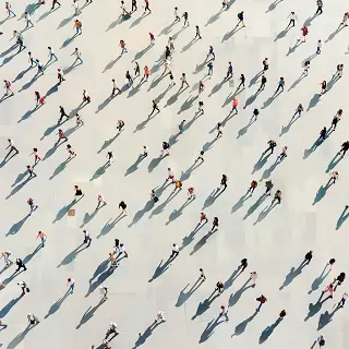 与鲸鱼有什么含义