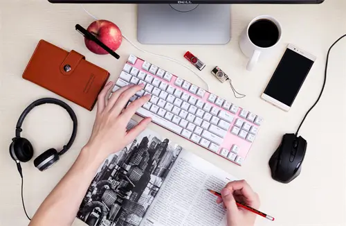 雪辞的含义和寓意