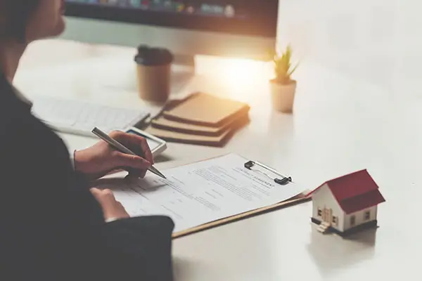 张黎的意义和含义